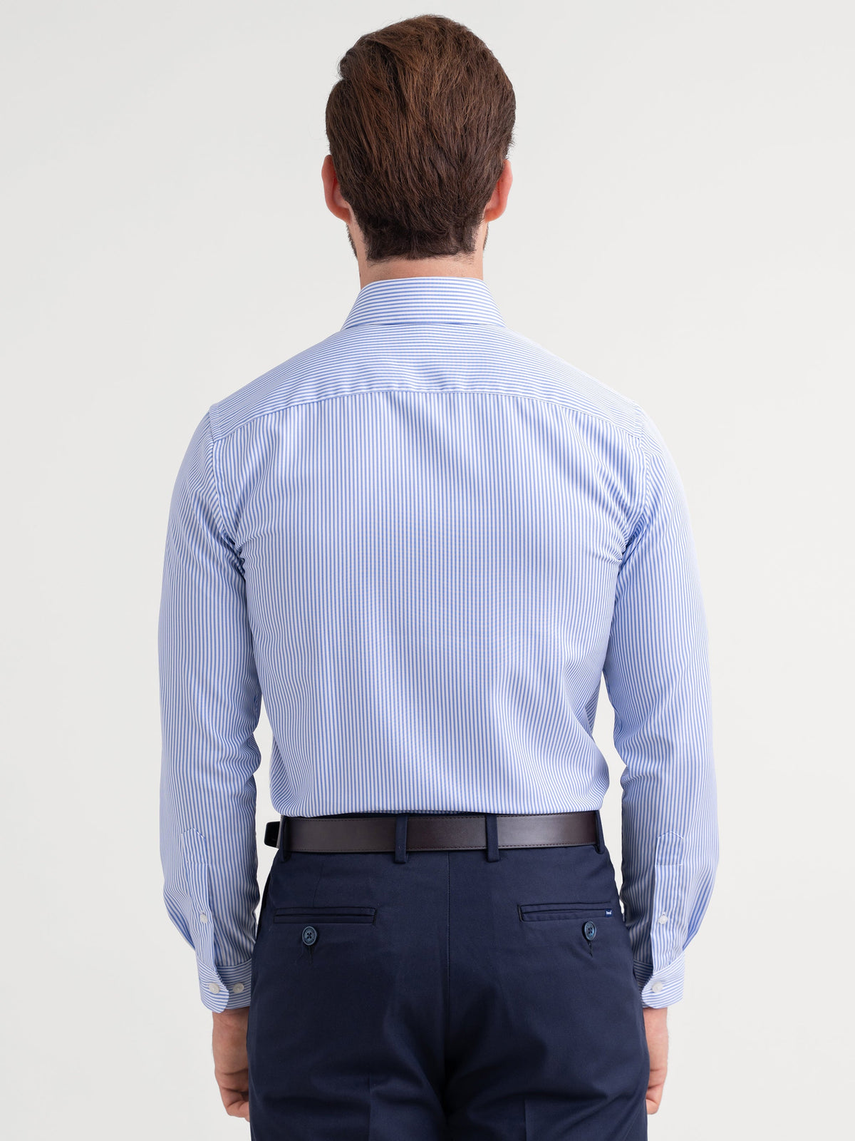 Emerald Majesty Stripe Regular Fit - Blue Ultramarine