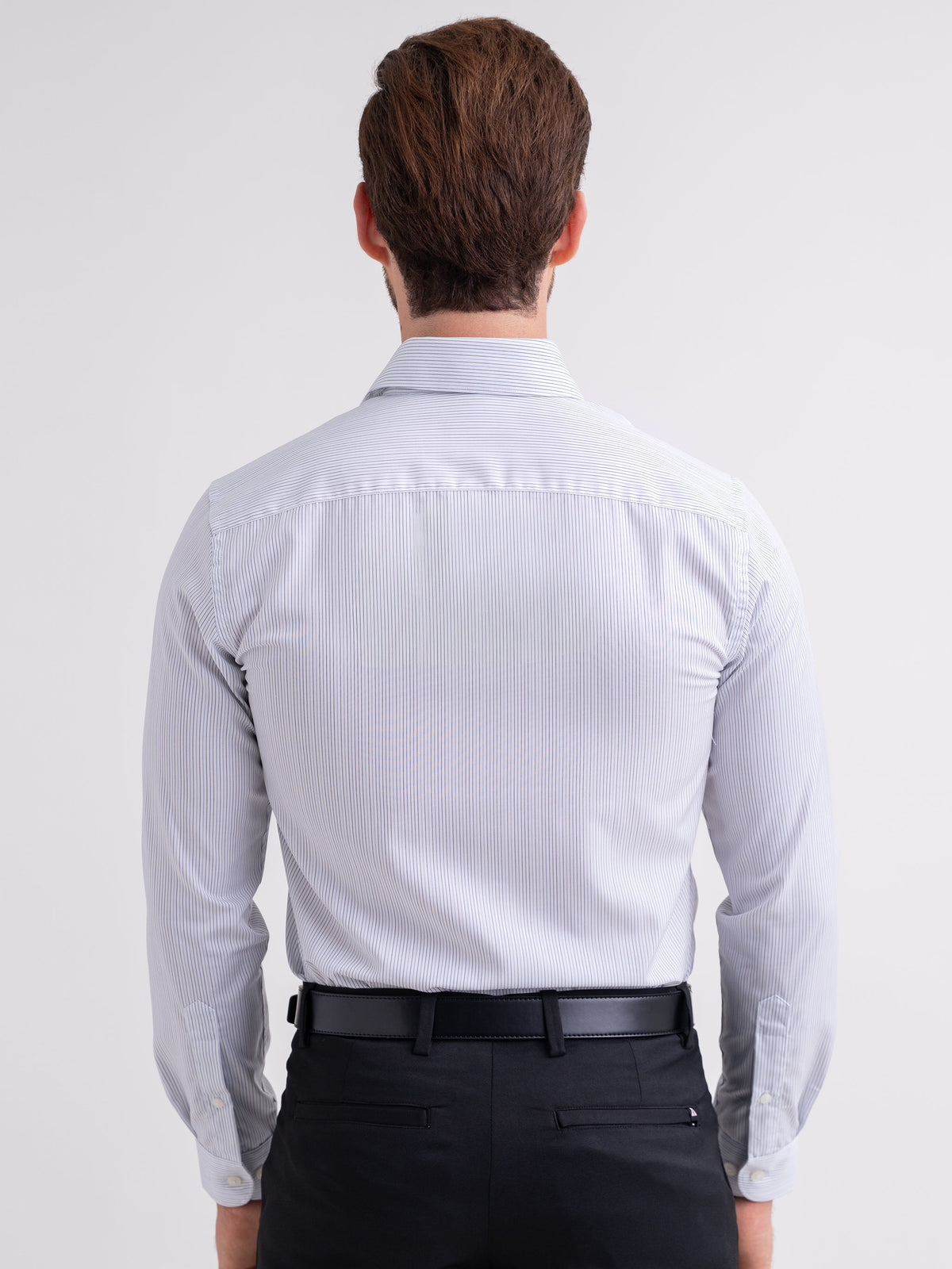 Emerald Majesty Stripe Regular Fit - Blanc De Blanc